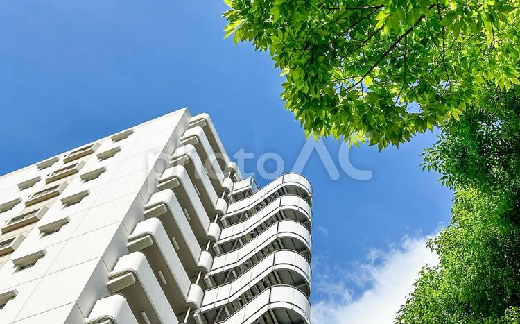 晴れた日の豊かな緑と見上げるUR賃貸住宅 集合住宅,マンション,ur賃貸住宅の写真素材