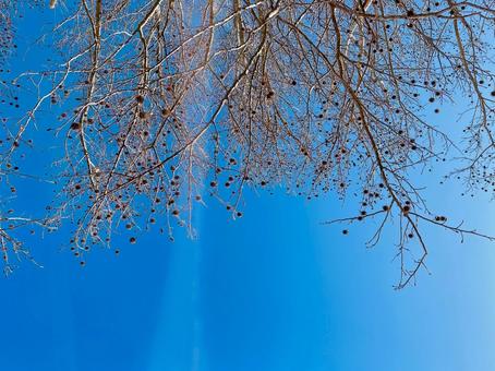 空 空の写真