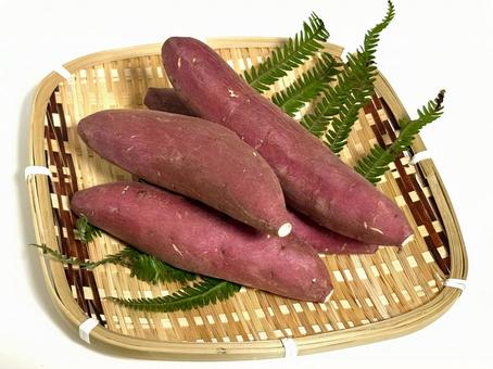 さつまいも さつまいも,芋,食べ物の写真素材