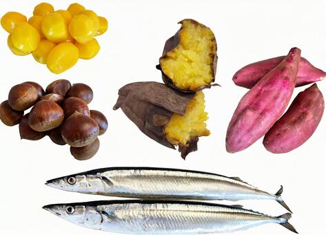 切り抜きPSD素材ー秋の味覚2 秋の味覚,秋,食べ物の写真素材