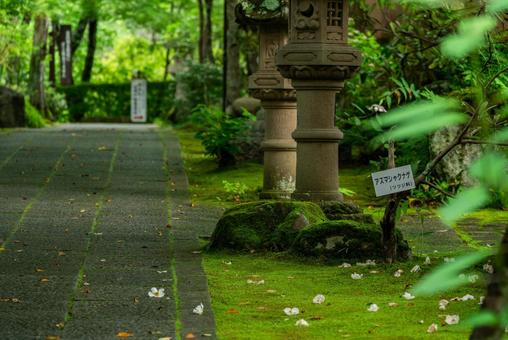 山本不動尊 福島県東白川郡棚倉町 山本不動尊 福島県東白川郡棚倉町 山本不動尊,表参道,棚倉町の写真素材