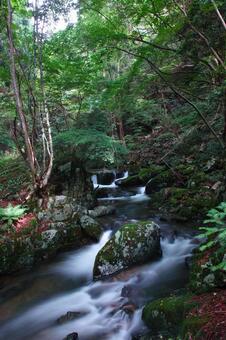 鏡野・白賀渓谷 鏡野・白賀渓谷の写真