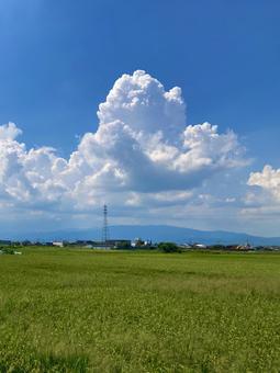 夏の日の入道雲(縦) 夏の日の入道雲(縦)の写真