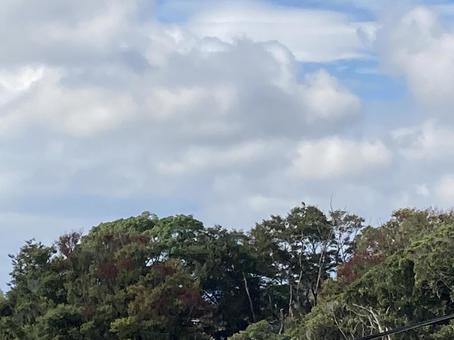 空に雲 空に雲の写真