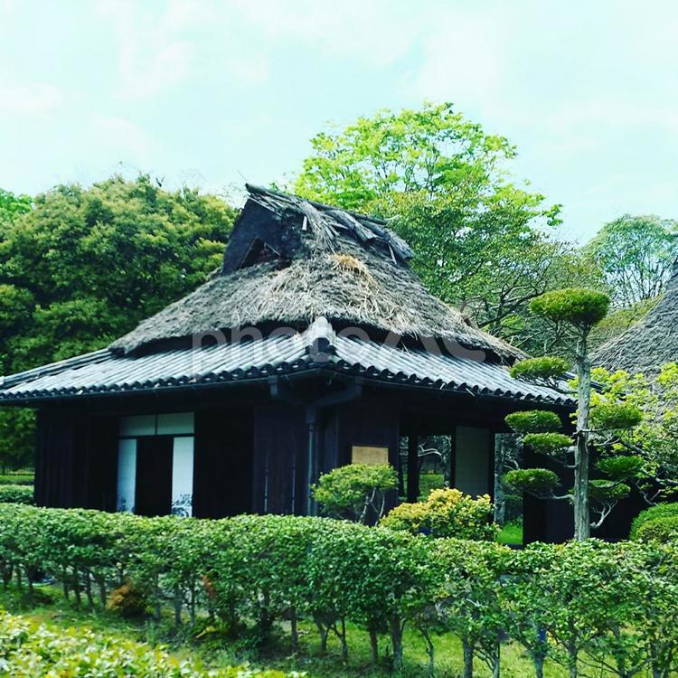 茅ぶき屋根の家 伝統的な,住宅,家の写真素材