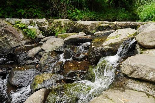 熊本 白川水源 石の間を流れる水 熊本 白川水源 石の間を流れる水 白川水源,渓流,清流の写真素材