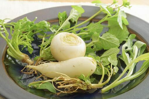 色とりどりの七草粥の食材 春の七草,七草,七草粥の写真素材