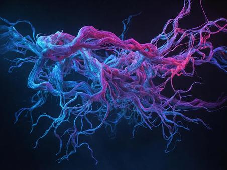 医療と科学が描く脳の姿 医療と科学が描く脳の姿の写真