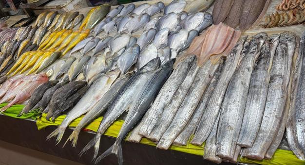 アジアの市場に並ぶ新鮮な魚介類 アジアの市場に並ぶ新鮮な魚介類 魚介,海鮮,市場の写真素材
