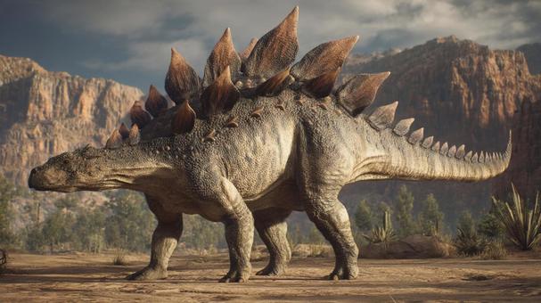 岩場のステゴサウルス1の写真