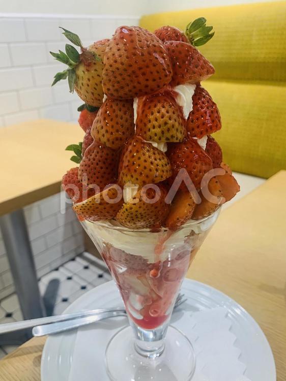 いちごパフェ＠011 パフェ,イチゴパフェ,いちごの写真素材