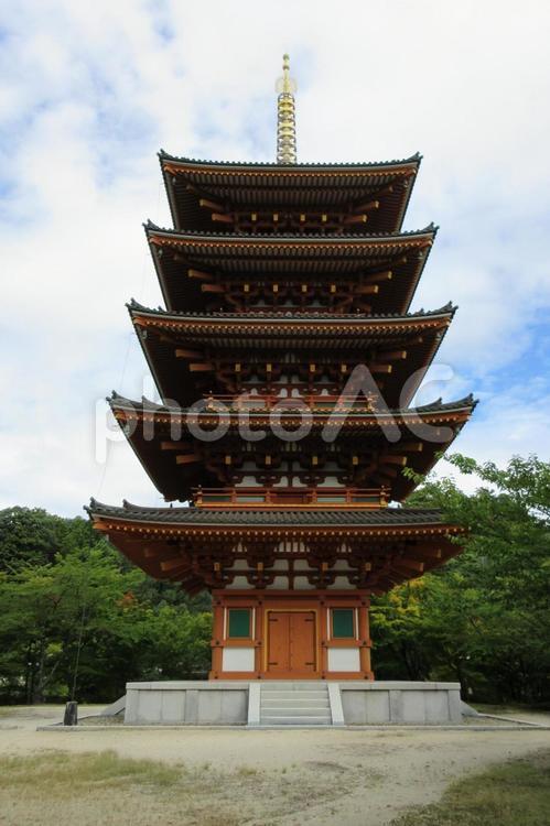 京都府-成相寺-五重塔 成相寺,寺,成相山の写真素材