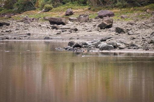 湖のほとり 湖,ほとり,沼の写真素材