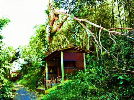 森の中の静寂な小屋 森の中の静寂な小屋の写真