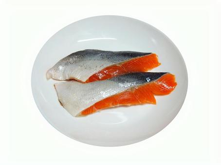 照片, 大鳞大麻哈鱼（oncorhynchus keta）, 银鲑, 银大麻哈鱼, 