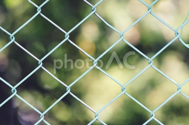 フェンスと緑ぼかし背景 緑,新緑,フェンスの写真素材