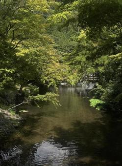 自然の風景 自然の風景の写真