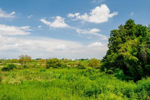 河原の風景⑺ 河原の風景⑺の写真