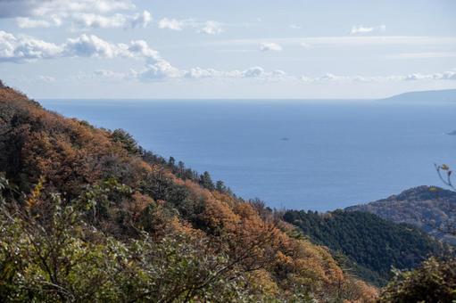 湯河原椿台からの景色 湯河原椿台からの景色 紅葉,秋,湯河原の写真素材