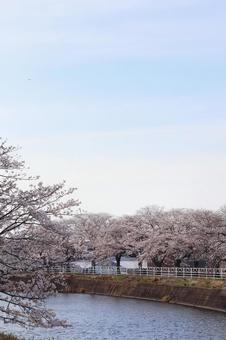 宇美町 川 宇美町 川の写真
