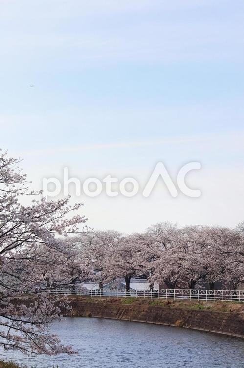 宇美町　川 宇美川,川,宇美の写真素材