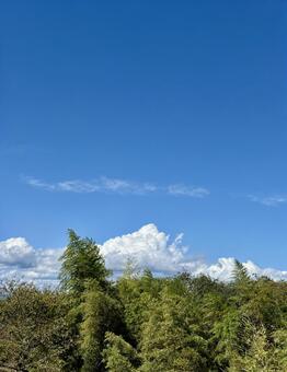 森の向こう 青空,青,空の写真素材