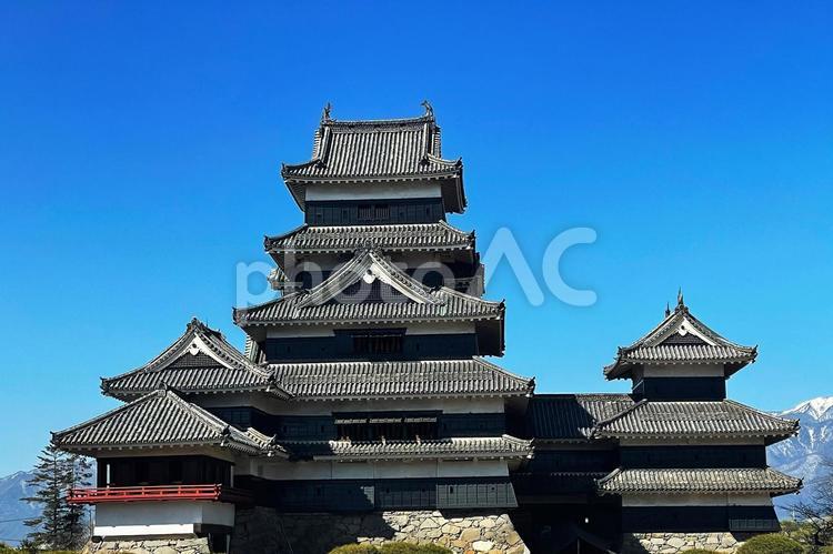 一面に広がる青空に映える松本城の天守閣 城,城壁,キャッスルの写真素材