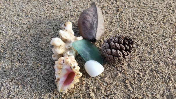 海岸沿いのビーチコーミング 奄美,自然,景色の写真素材