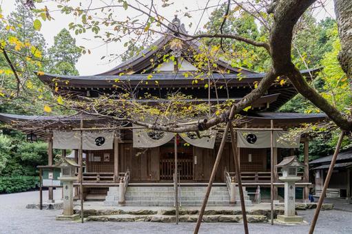 三重 椿大神社 行満堂神霊殿 三重 椿大神社 行満堂神霊殿 椿大神社,椿,神社の写真素材