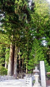 高野山 高野山 高野山,神聖,山の写真素材