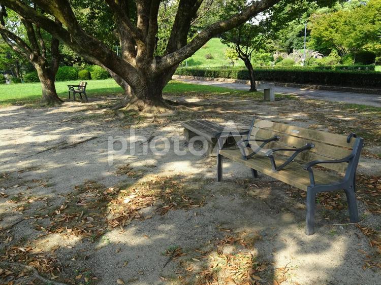 名古屋城の風景-38 名古屋城,愛知県名古屋市,二之丸広場の写真素材