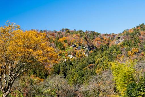 紅葉の山寺⑾ 秋,紅葉,山寺の写真素材