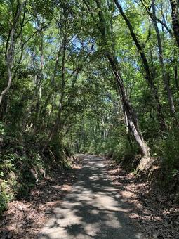 Teshima Mountain Path, JPG