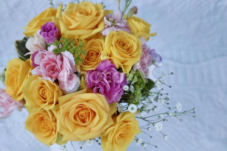 黄色の薔薇の美しいブーケ　白背景 バラ,ブーケ,花束の写真素材