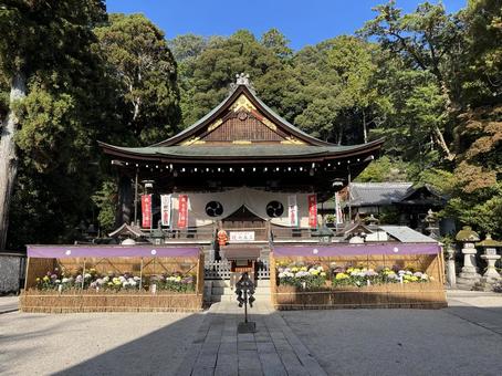 日牟禮八幡宮 日牟禮八幡宮,神社,近江八幡の写真素材