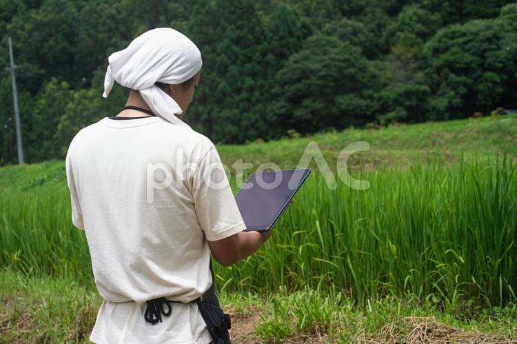 タブレット端末で仕事する男性 スマート農業,農業,農家の写真素材