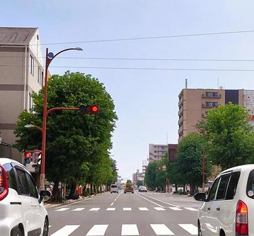 両側の街路樹が美しい街並み 両側の街路樹が美しい街並み 街路樹,綺麗,グリーンの写真素材