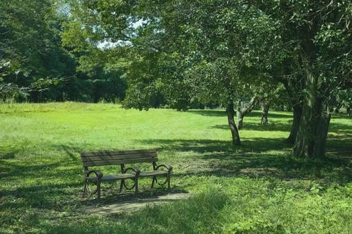 緑の公園 ベンチ 緑の公園 ベンチ ベンチ,椅子,座るの写真素材
