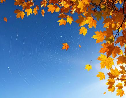 秋の紅葉と青空の写真
