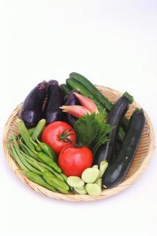 夏野菜 夏野菜 夏野菜,野菜,食材の写真素材