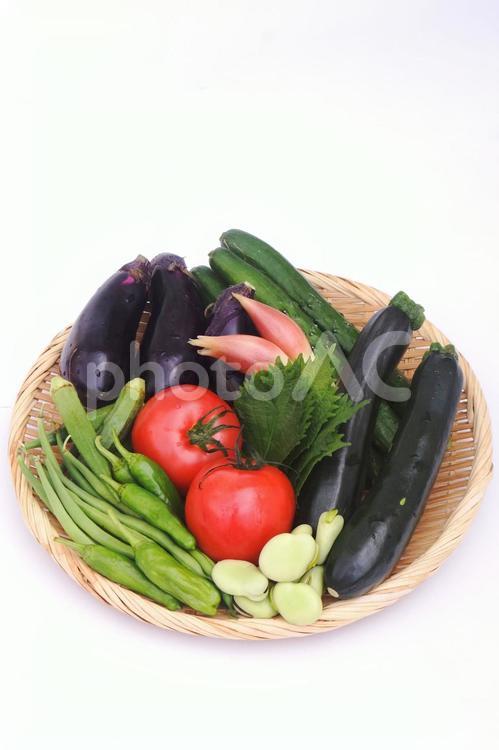 夏野菜 夏野菜,野菜,食材の写真素材