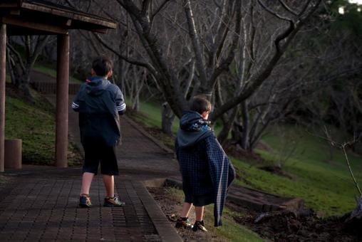 <Material> Brothers walking in the park at dawn, JPG <Material> Brothers walking in the park at dawn, JPG