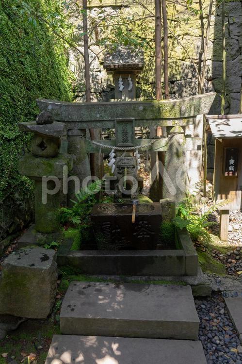 こま犬の井戸 こま犬の井戸,諏訪神社,長崎の写真素材
