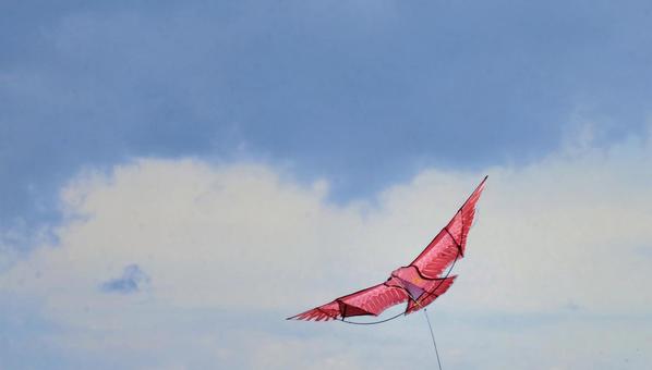 青空高く舞う鷲凧 青空高く舞う鷲凧 凧,鷲,空の写真素材