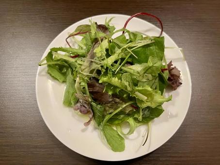 ベビーリーフのサラダと白い器 サラダ,葉野菜,ベビーリーフの写真素材