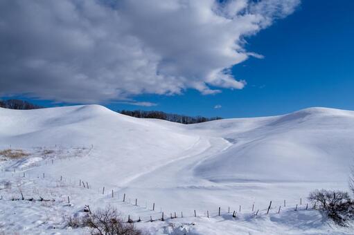 雲湧く青空と雪の丘に続く牧柵のある風景 牧場,牧草地,冬の写真素材