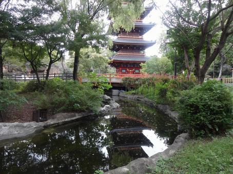 上野恩賜公園 池 上野恩賜公園 池の写真