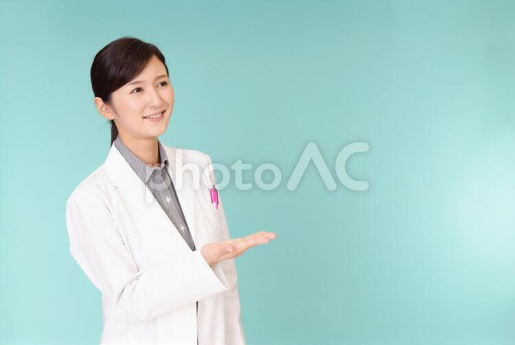 案内する笑顔の女医 日本人,女性,人物の写真素材