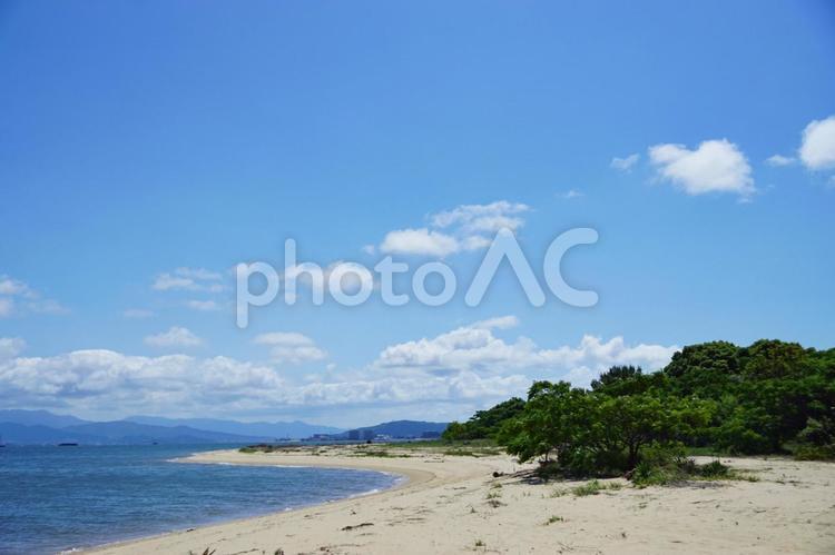 砂浜と海岸線2 海岸,海岸線,海の写真素材