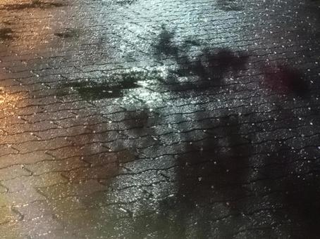 土砂降りの雨の夜 土砂降り,雨,夜の写真素材